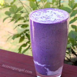 blueberry smoothie by Eco Vegan Gal