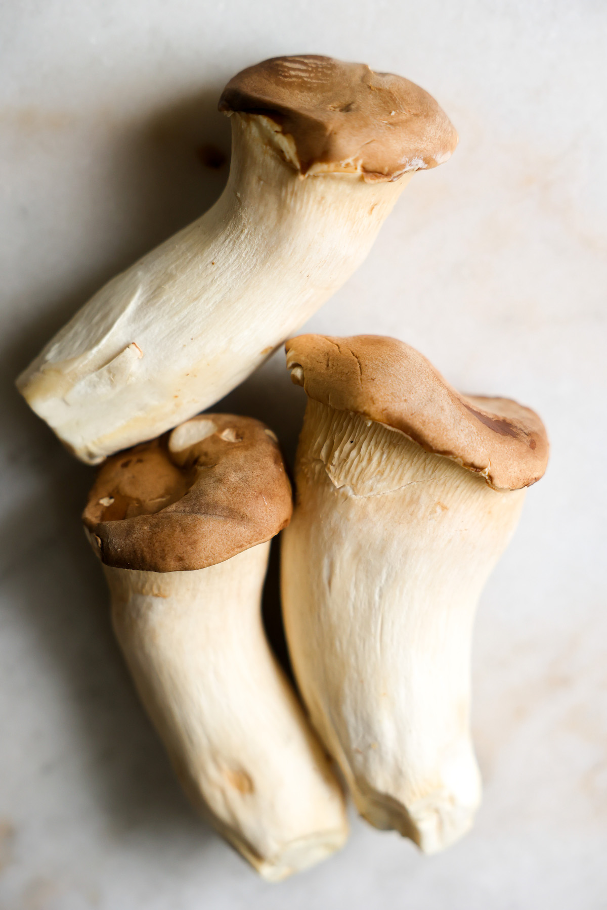 Three large king oyster mushrooms on the counter.