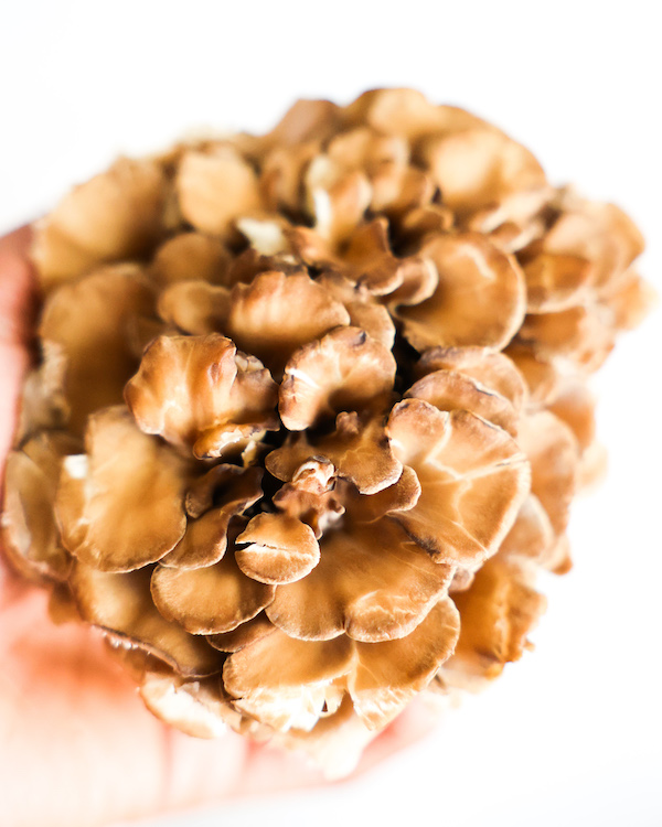 Maitake Mushrooms