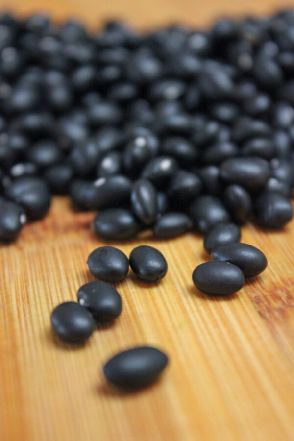 Dried black beans used for natural fabric dye