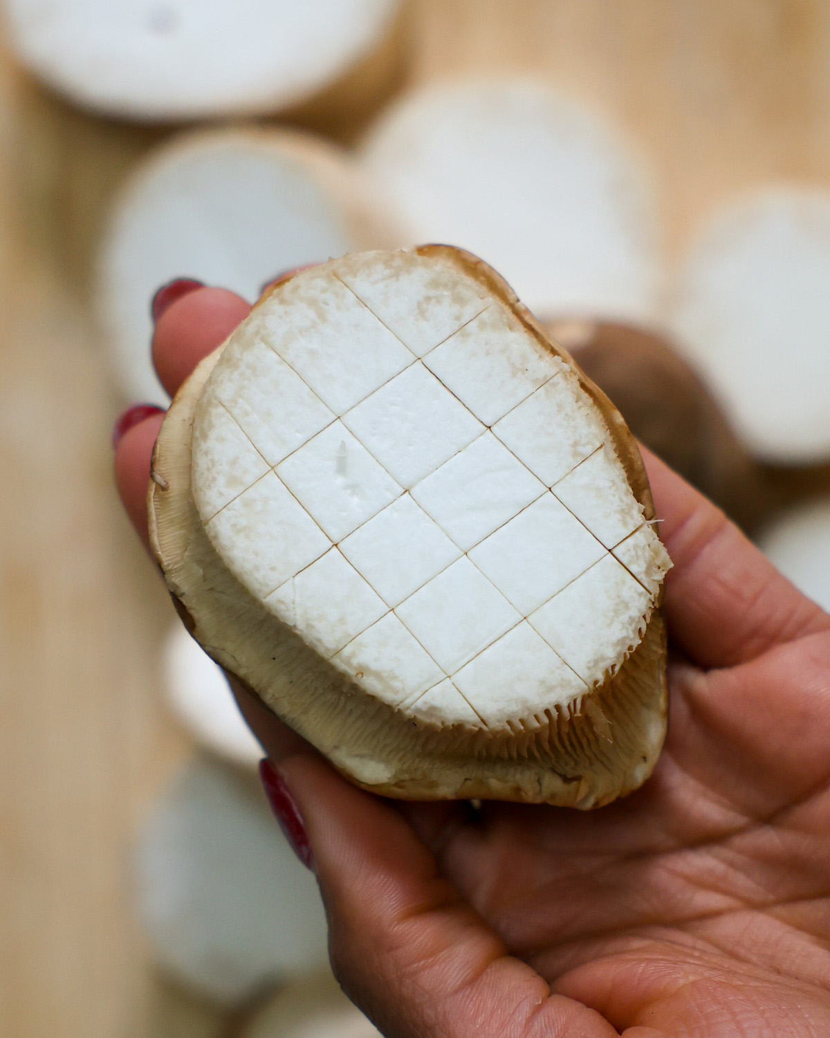 Holding a cut and scored slice of king oyster mushroom.