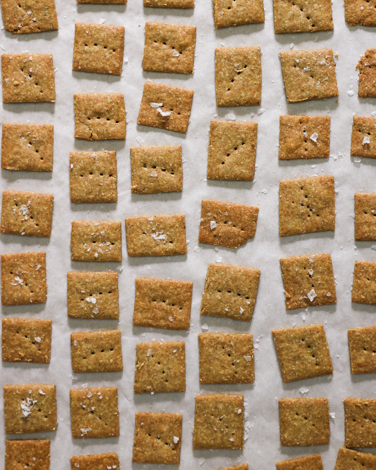 An overhead shot of baked pumpkin seed crackers with flaky sea salt on a sheet of parchment paper.