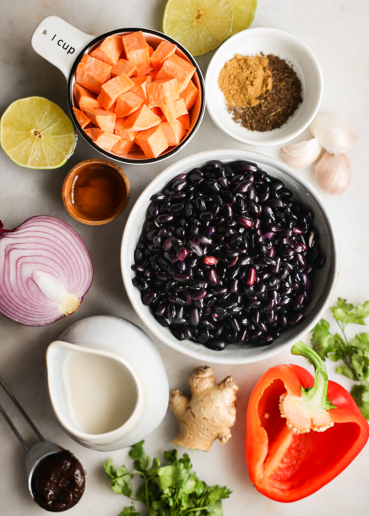 overhead of black bean soup ingredients