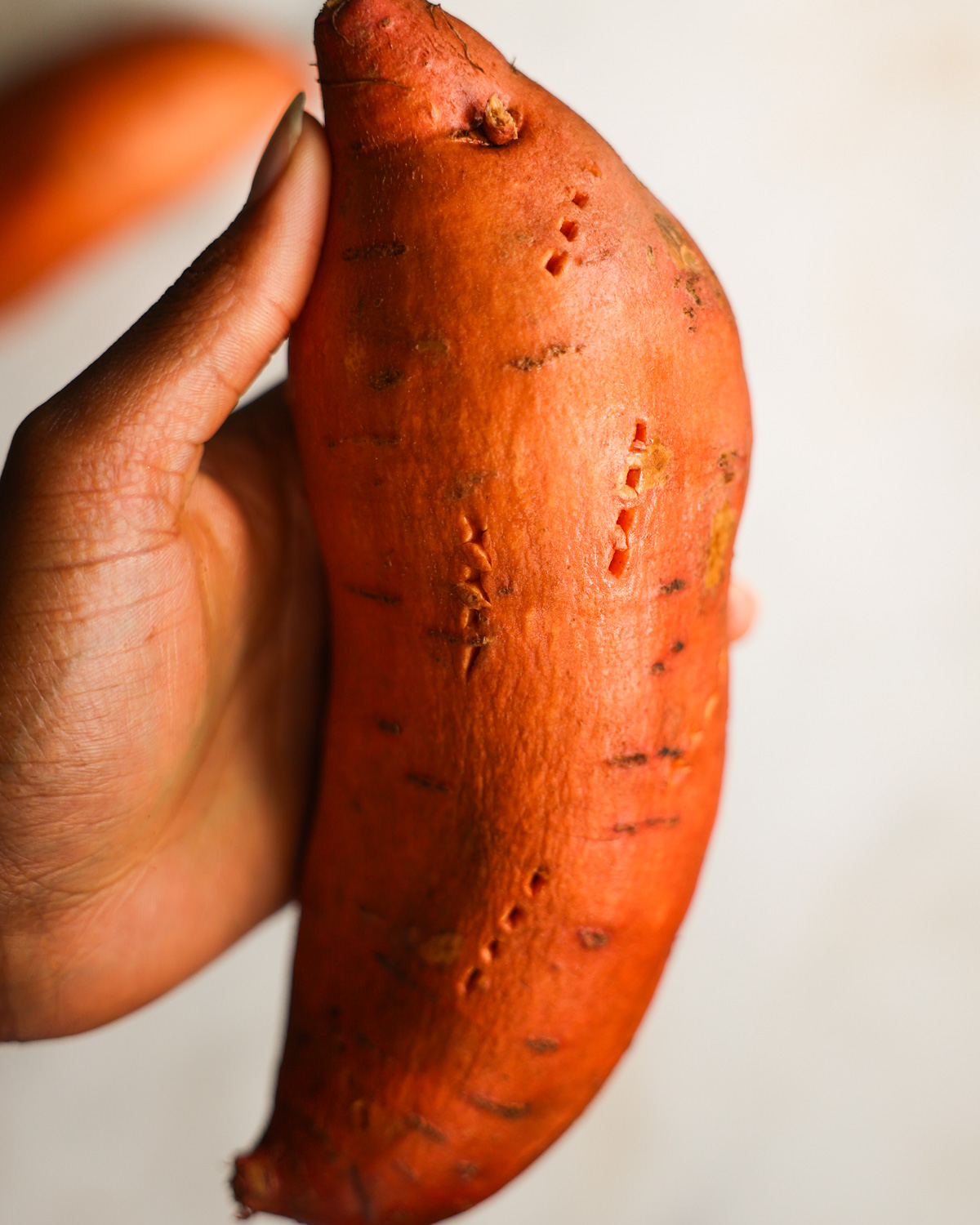 A close-up shot of a brown hand holding a sweet potato that is pierced a few times with forks.