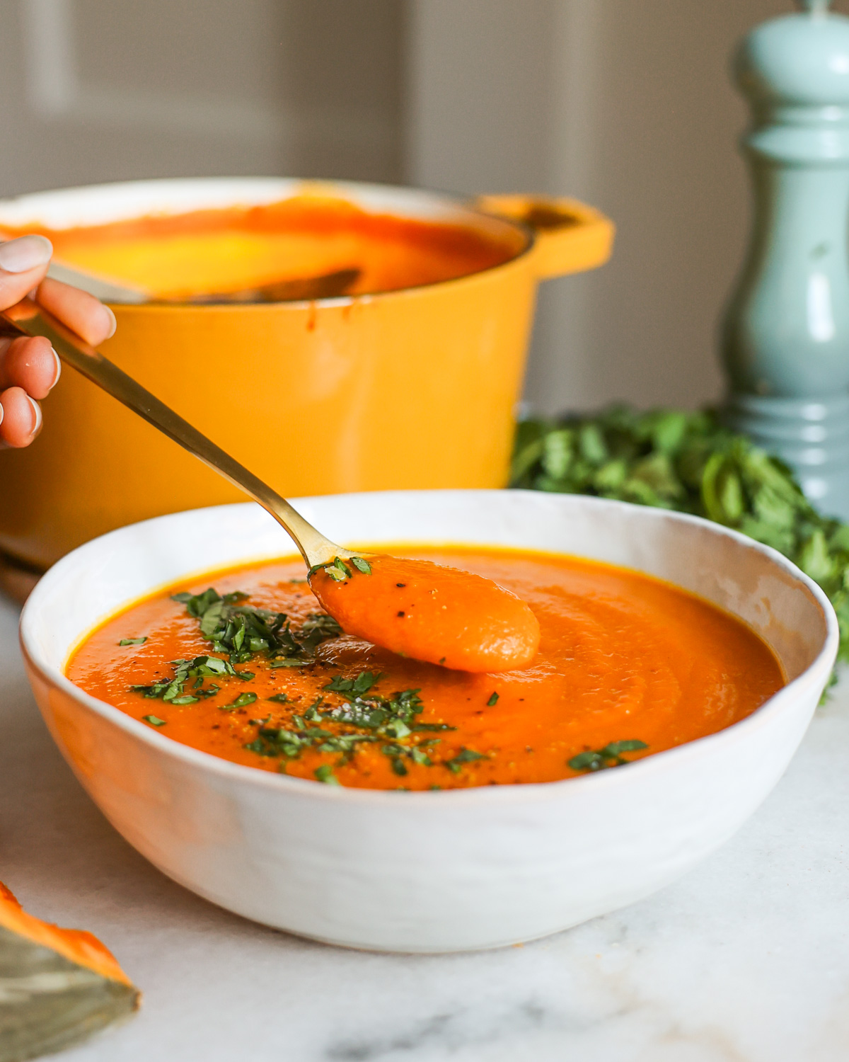 spoonful of kabocha soup