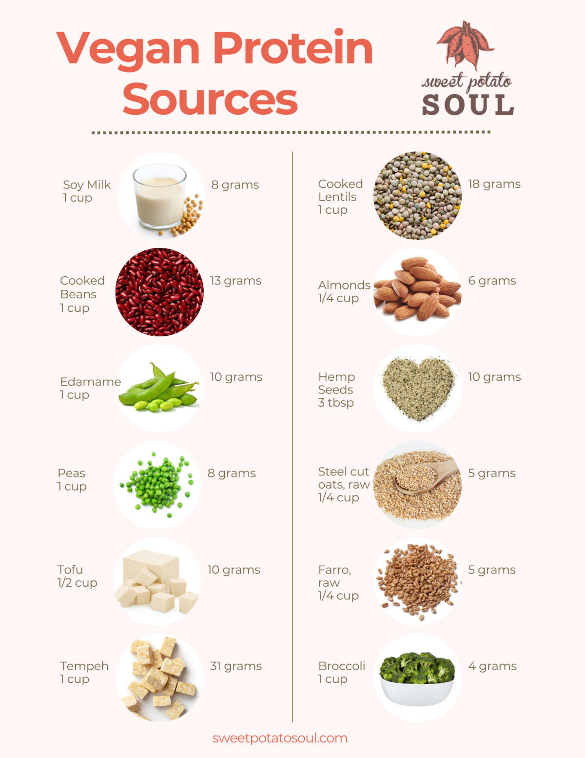 plant based protein sources diagram