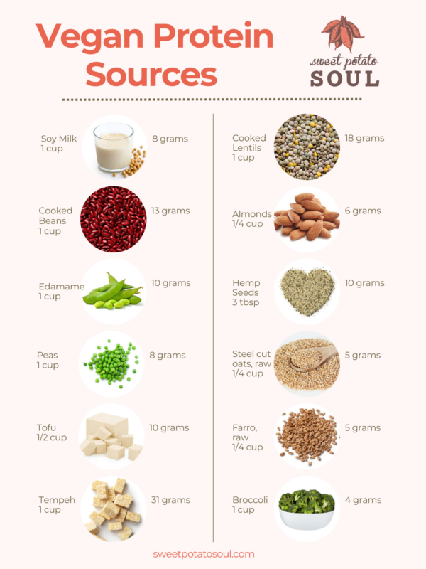 plant based protein sources diagram