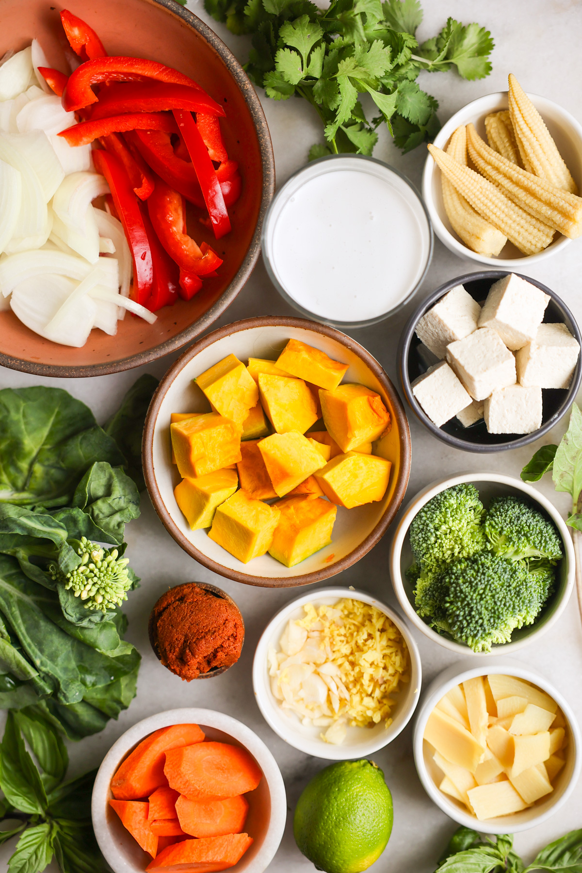 overhead of pumpkin curry ingredients