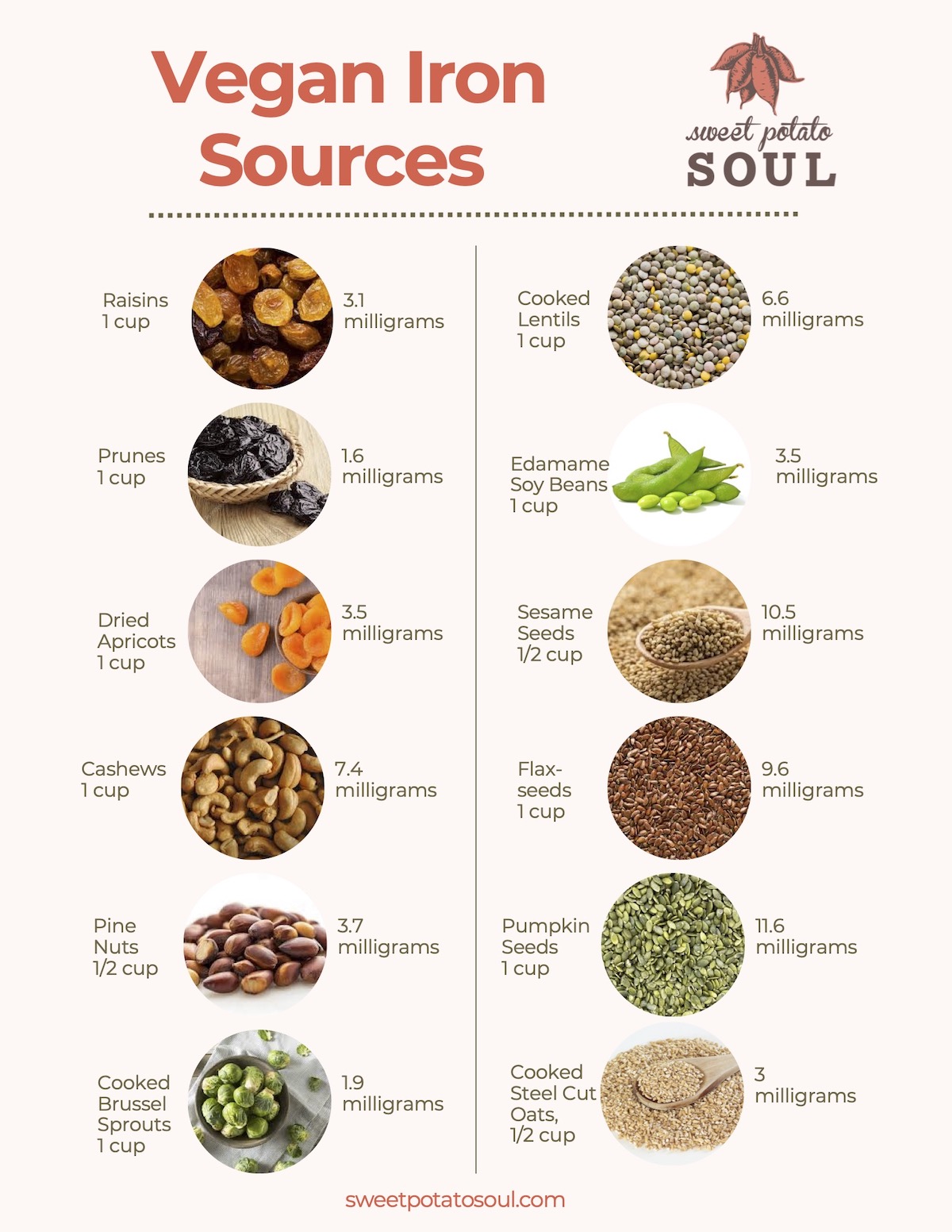 vegan iron sources graphic