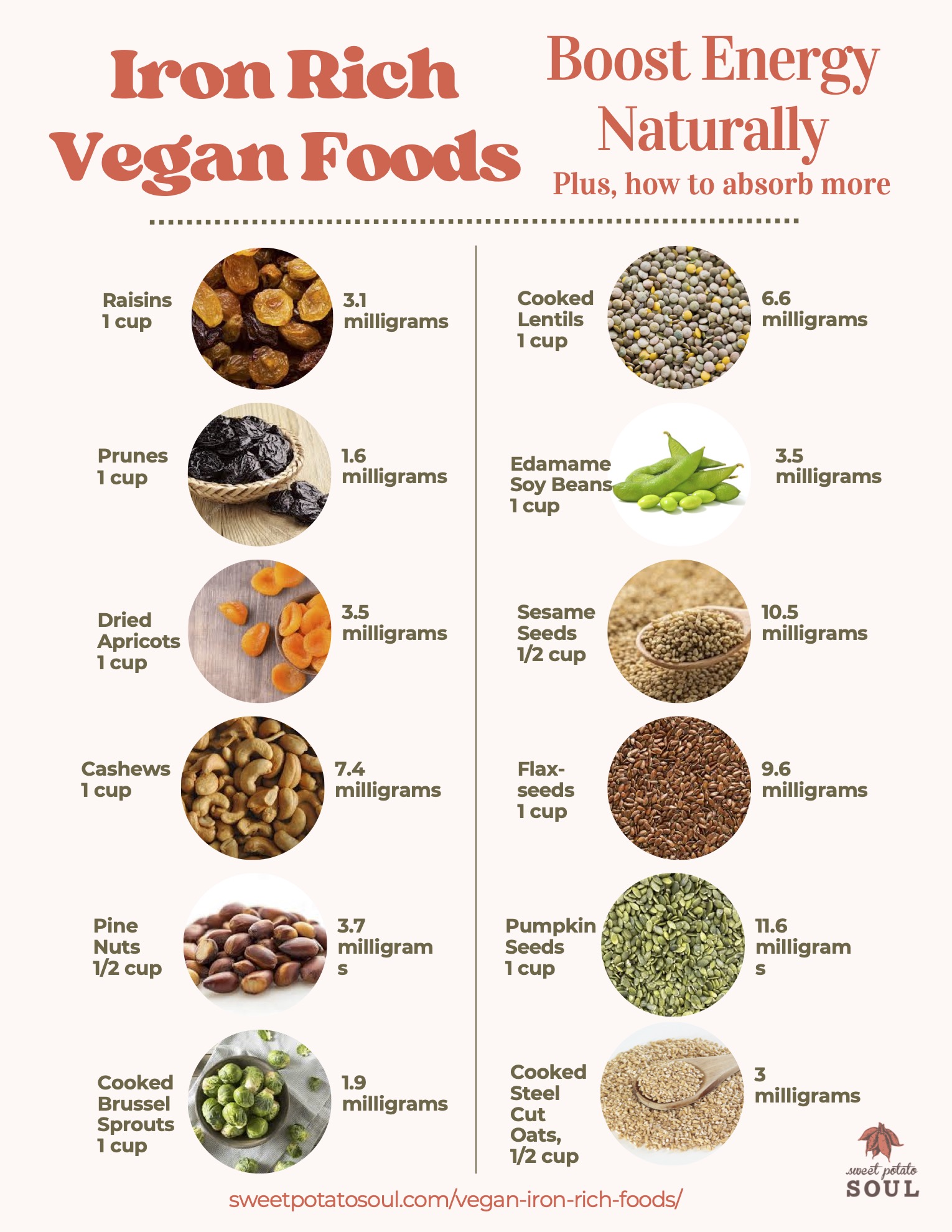 Vegan iron sources chart.