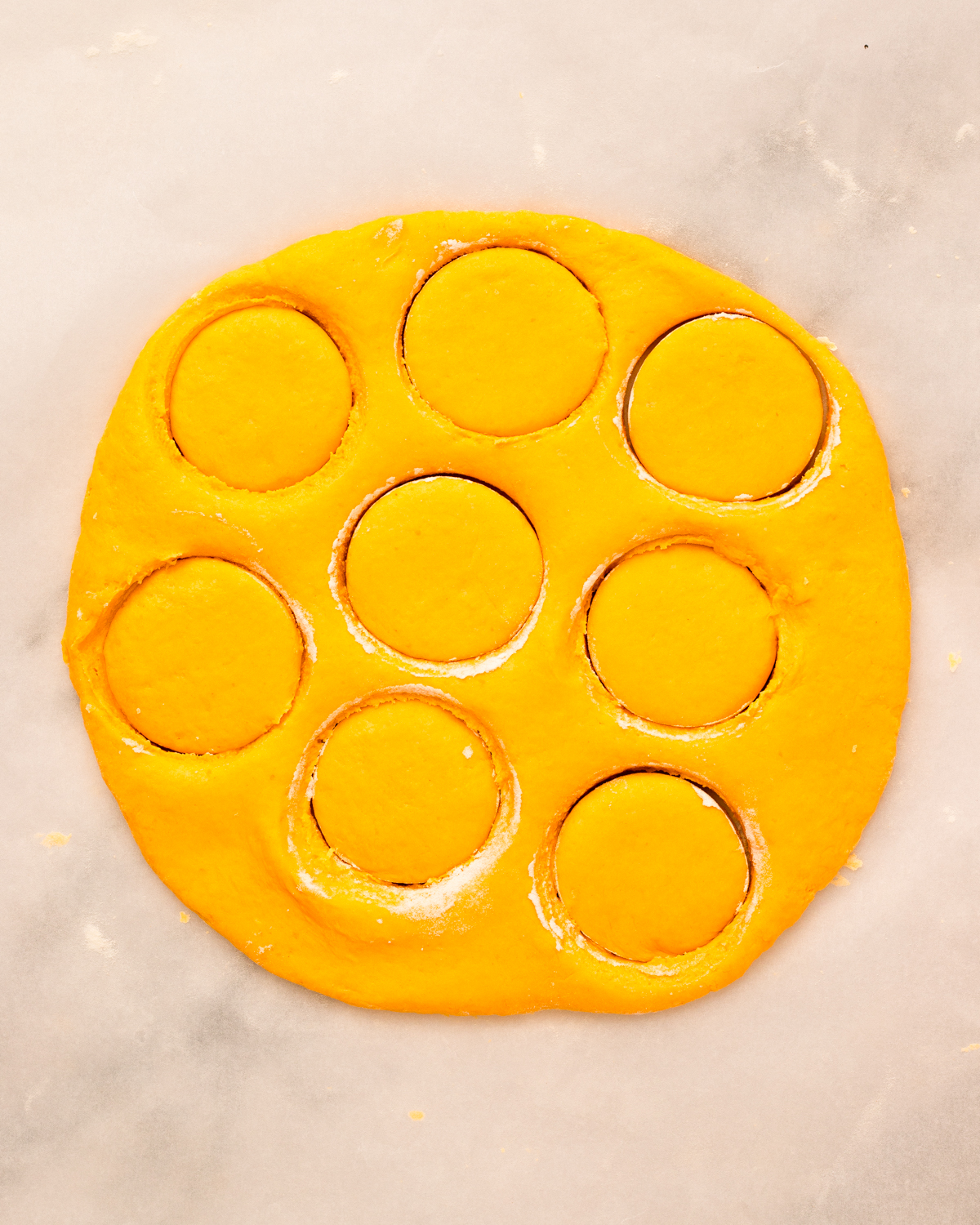 dough with biscuit rounds cut out