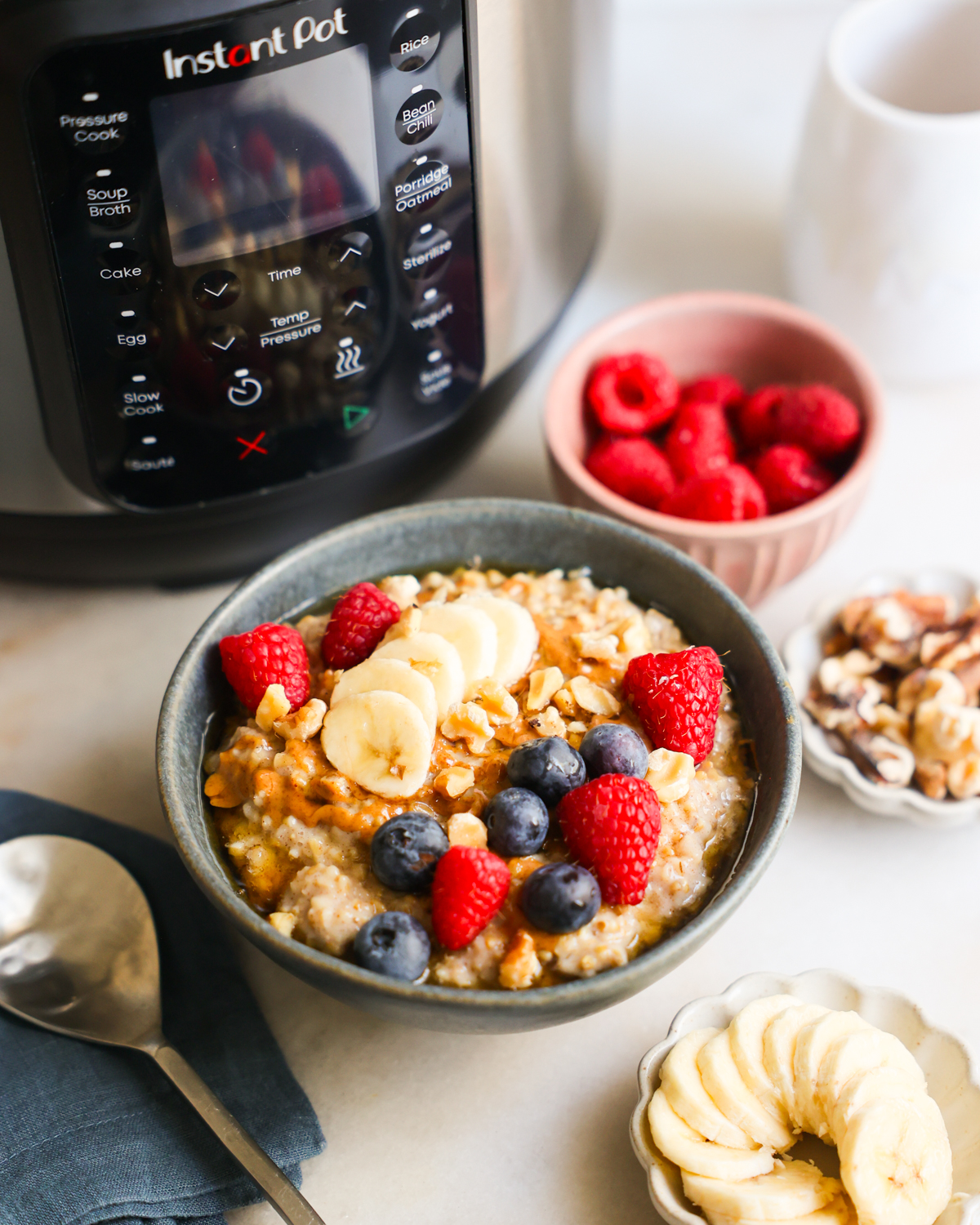 steel cut oats in front of instant pot
