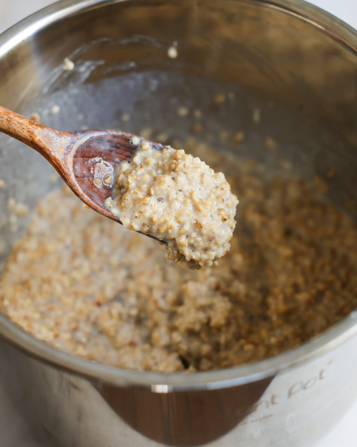 scoop of instant pot steel cut oats