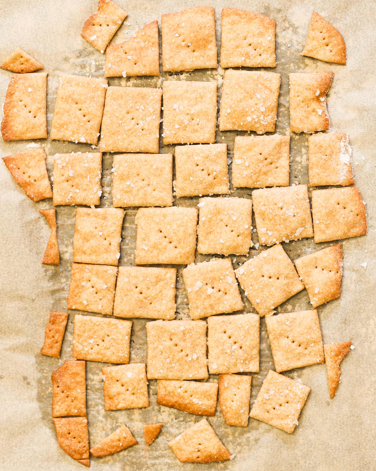 sourdough crackers on baking sheet