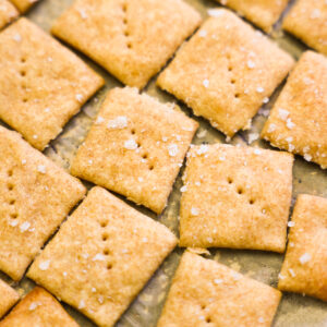 close up sourdough crackers