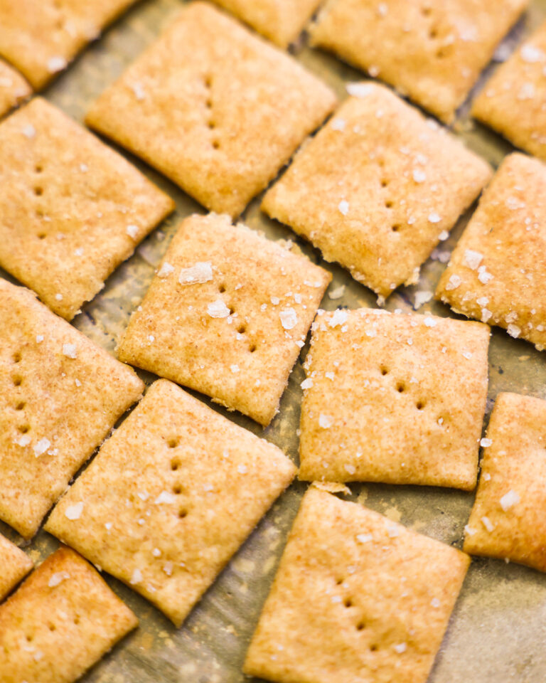 close up sourdough crackers