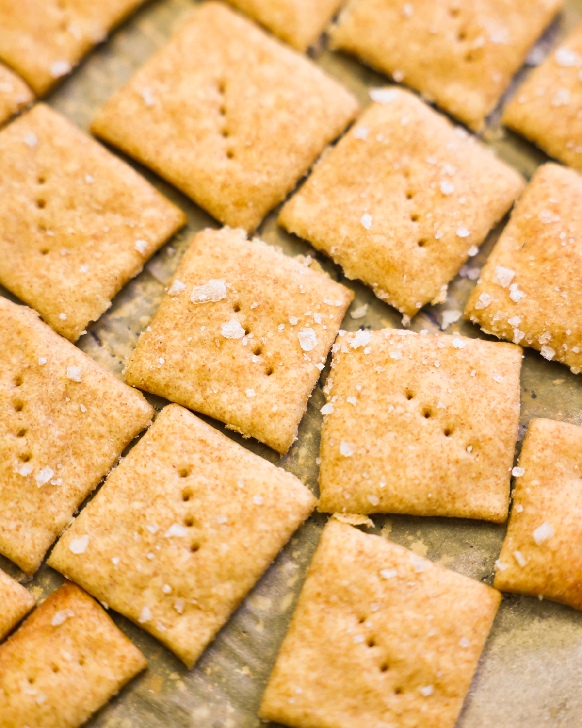 Crunchy Sourdough Discard Crackers
