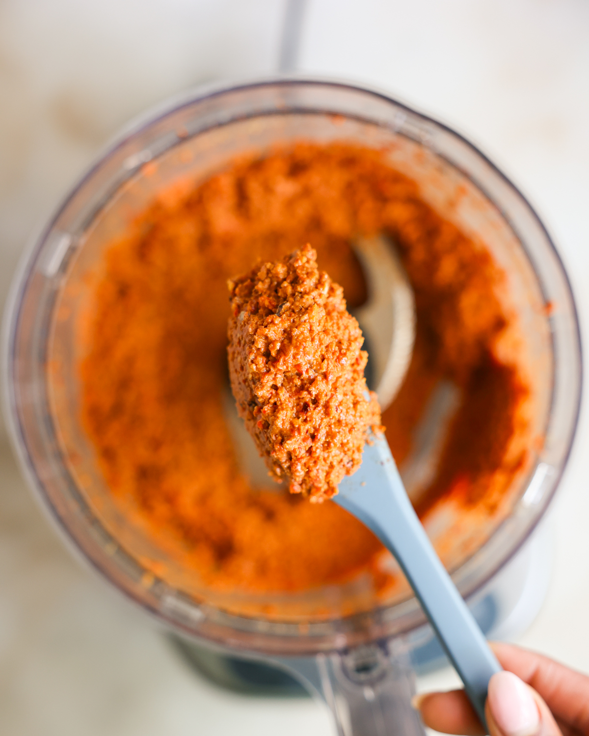 overhead muhammara on spatula
