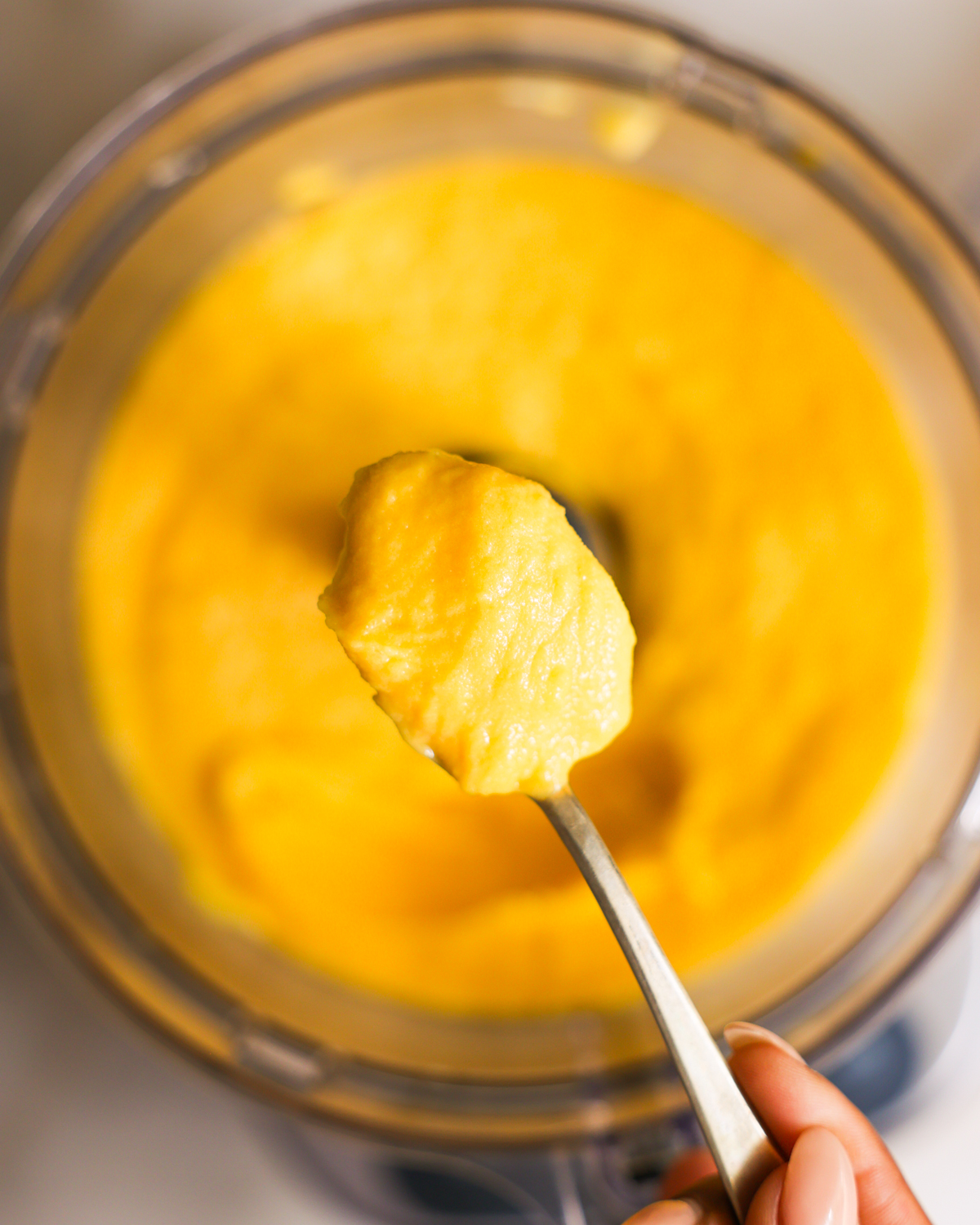 scoop of sorbet