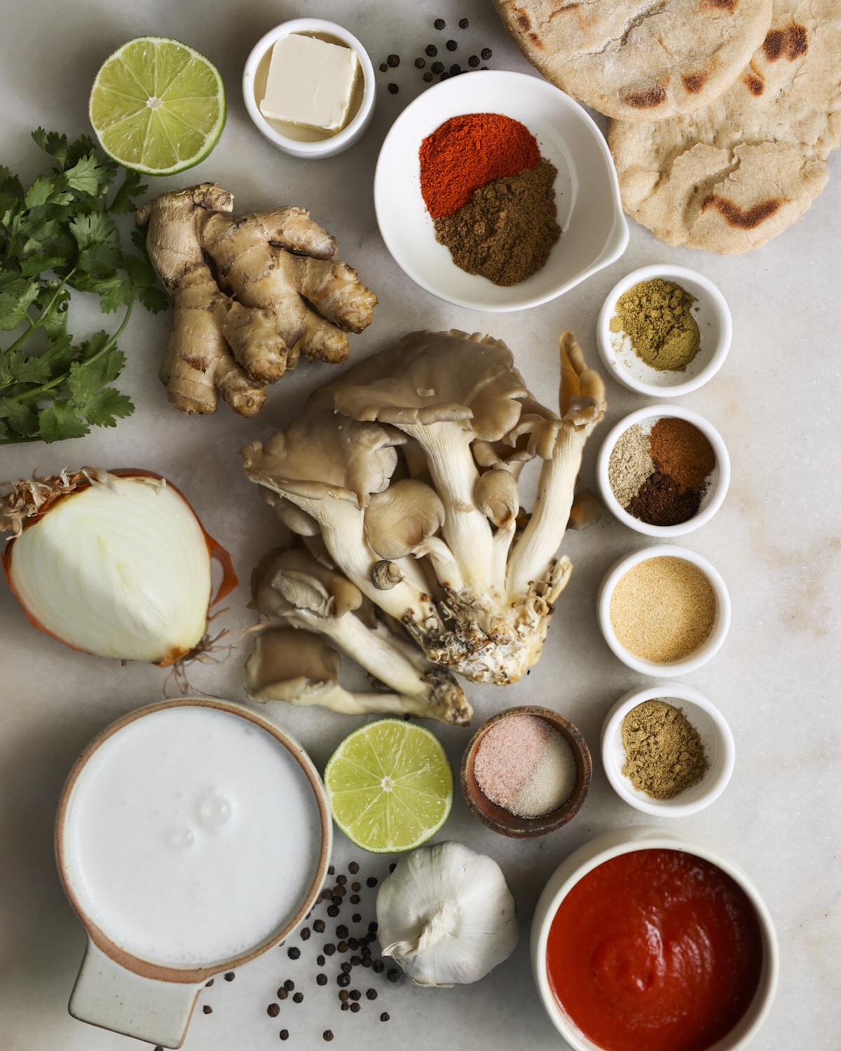 overhead of butter chicken ingredients