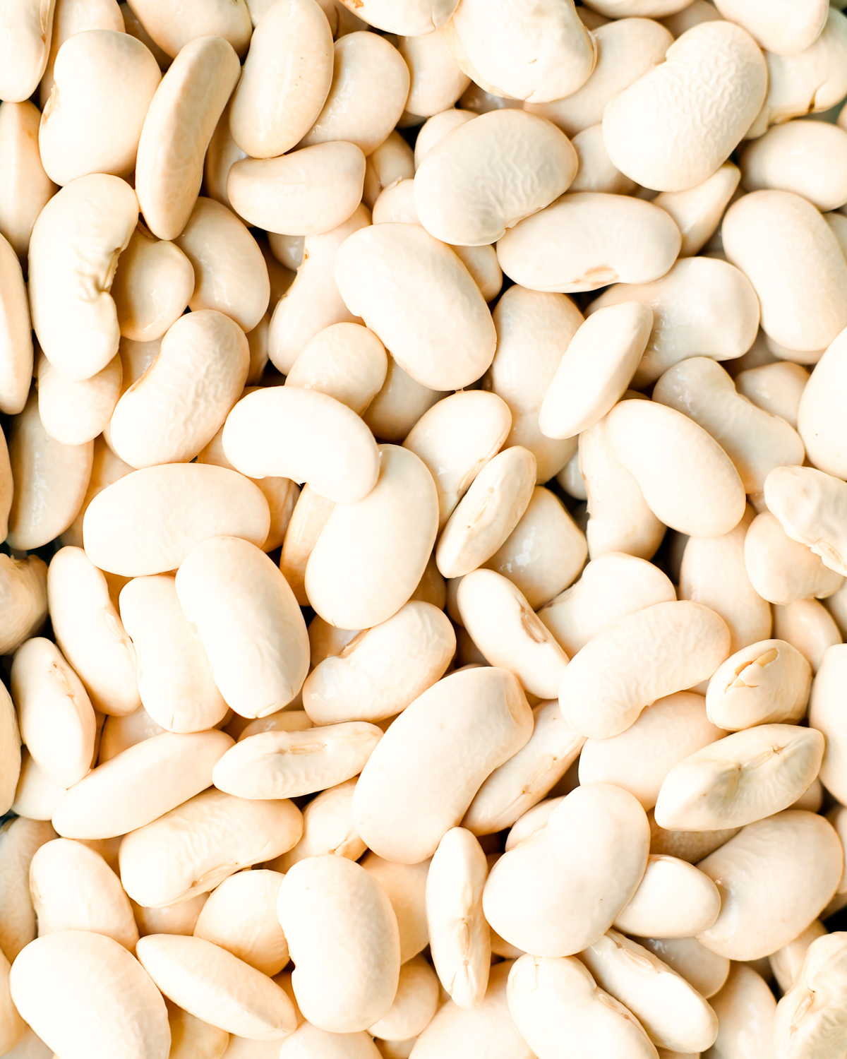 close up of corona beans