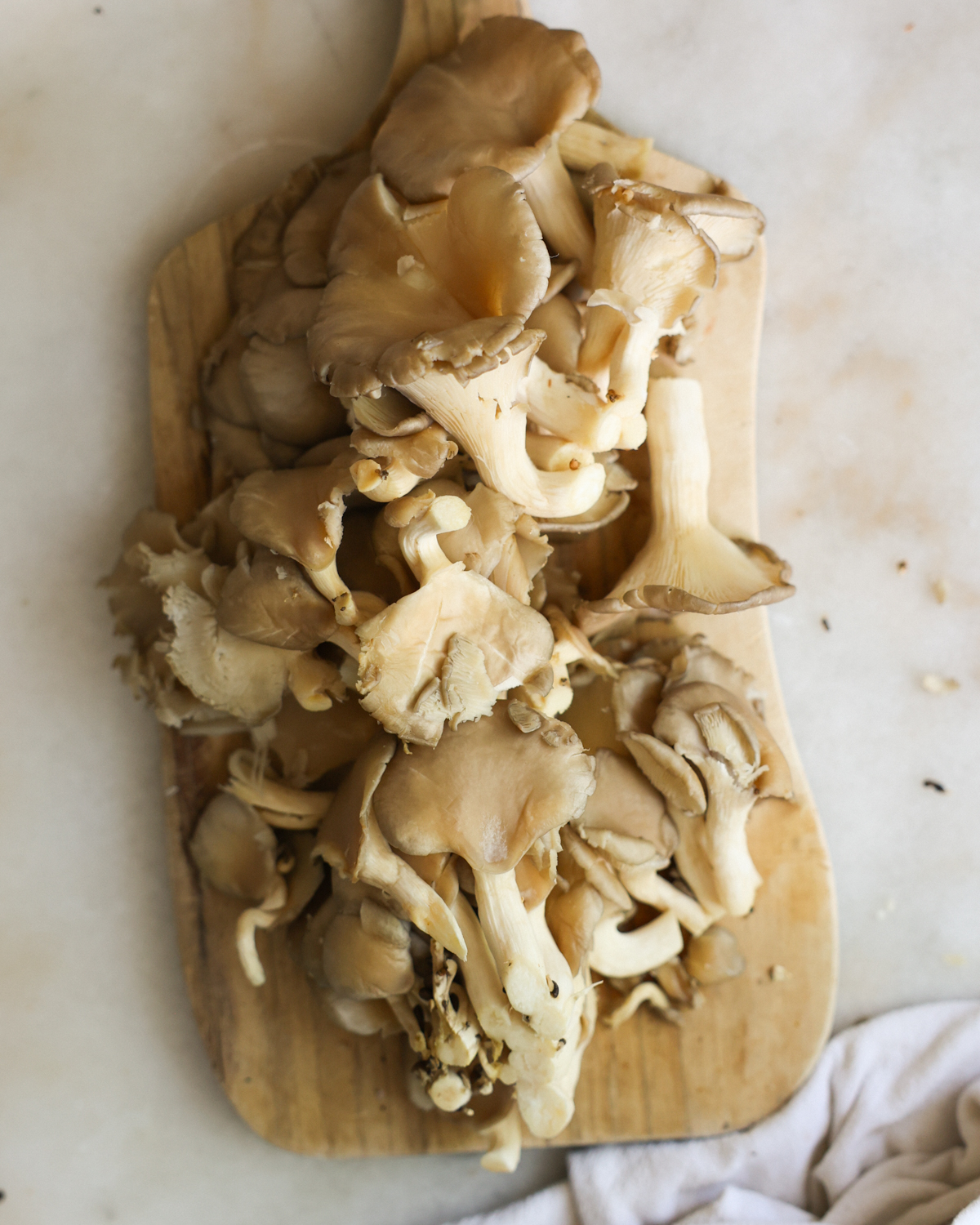 overhead sliced mushrooms