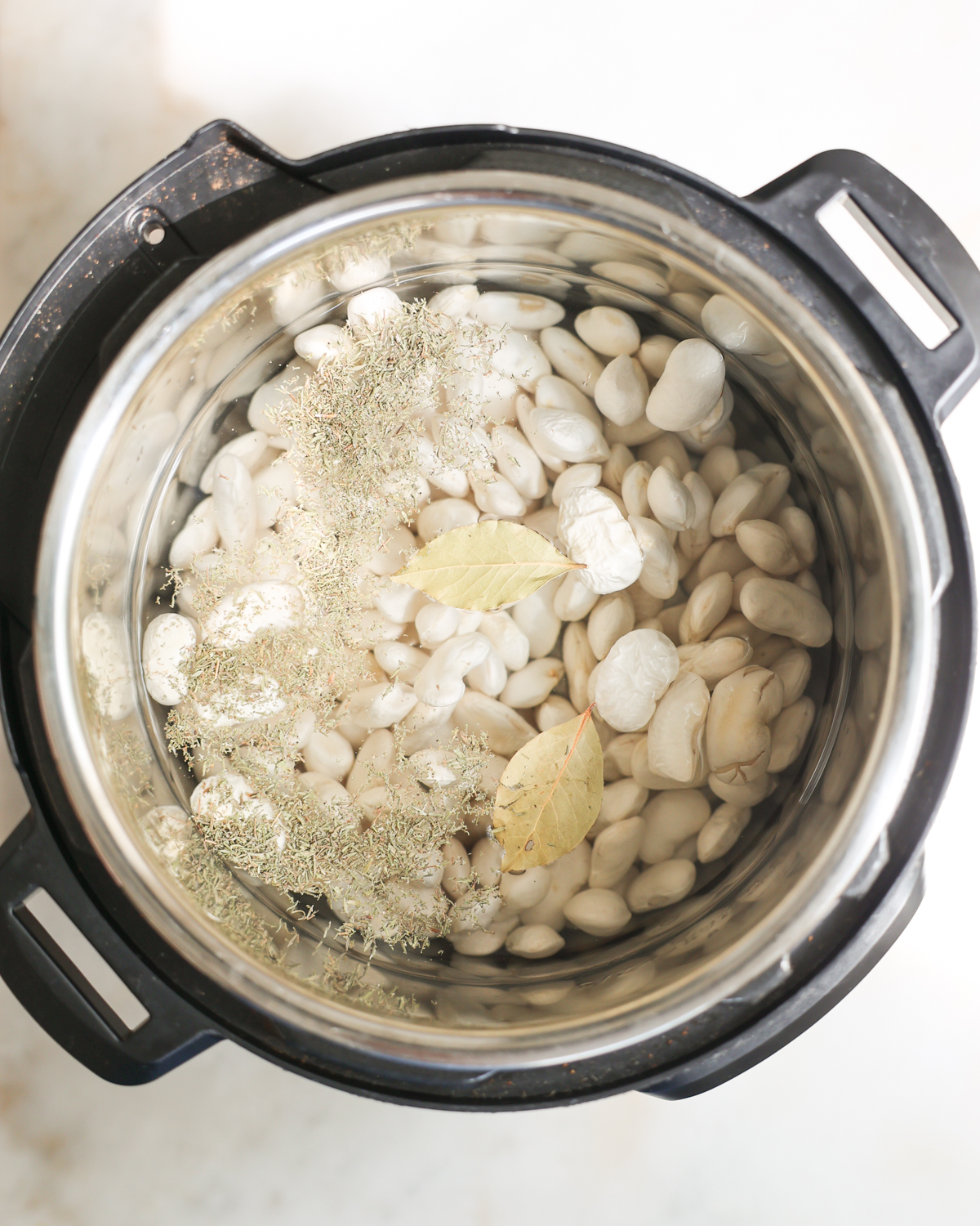 raw beans and herbs in instant pot