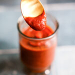 A close-up shot of a spoonful of the vegan BBQ sauce.