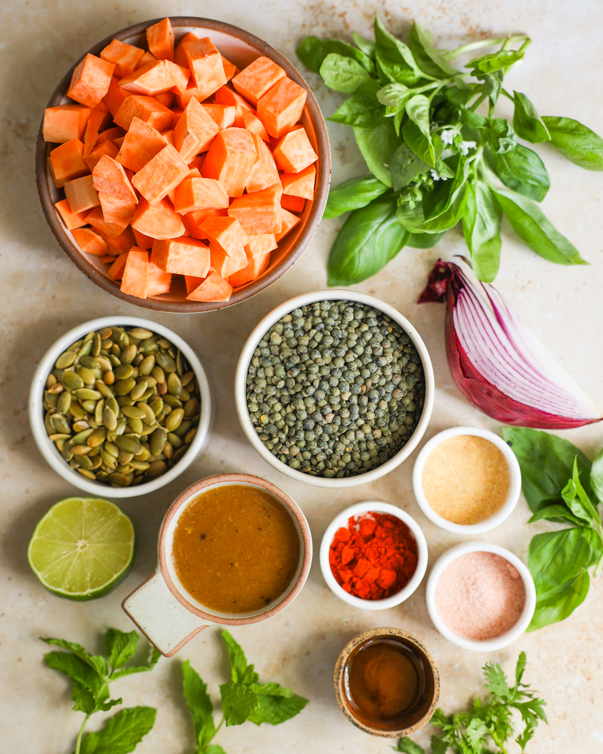 overhead lentil salad ingredients