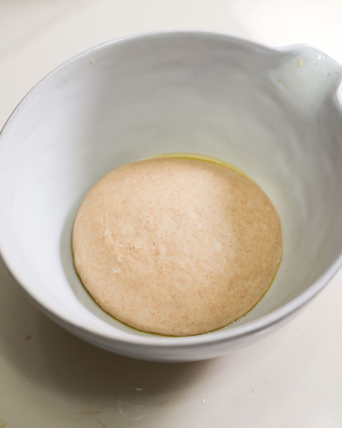 risen naan dough