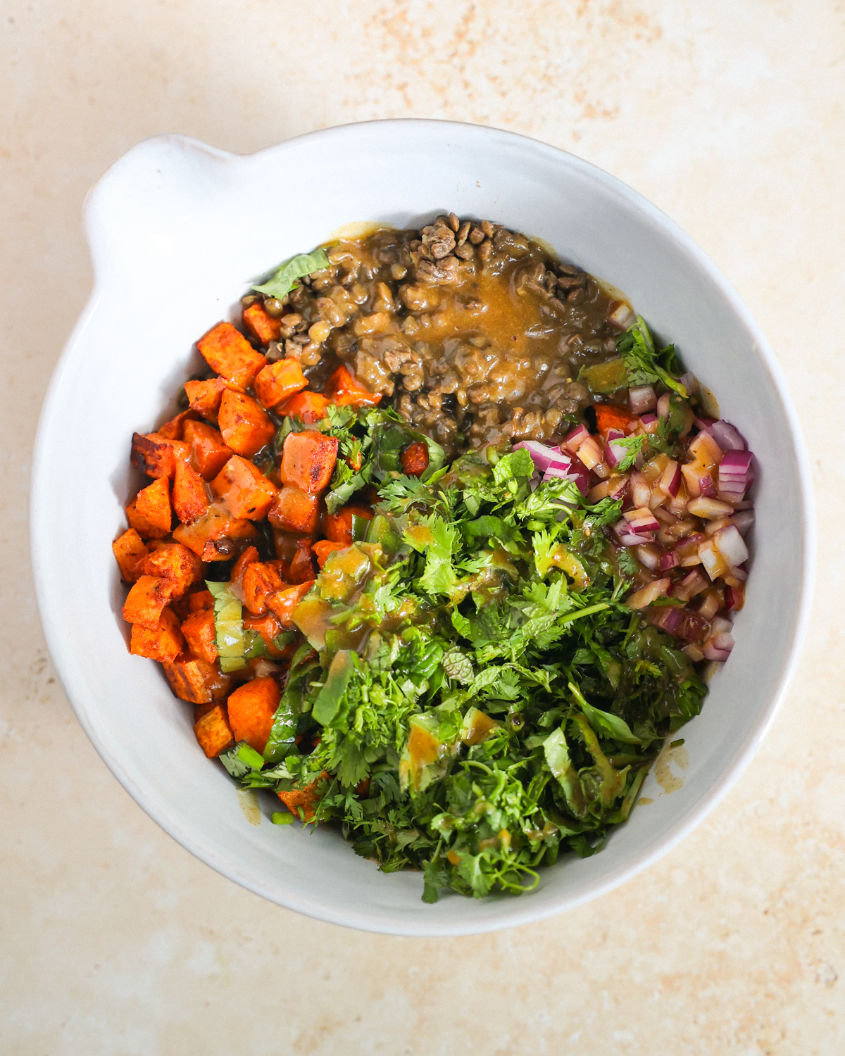 overhead lentil salad ingredients in large bowl