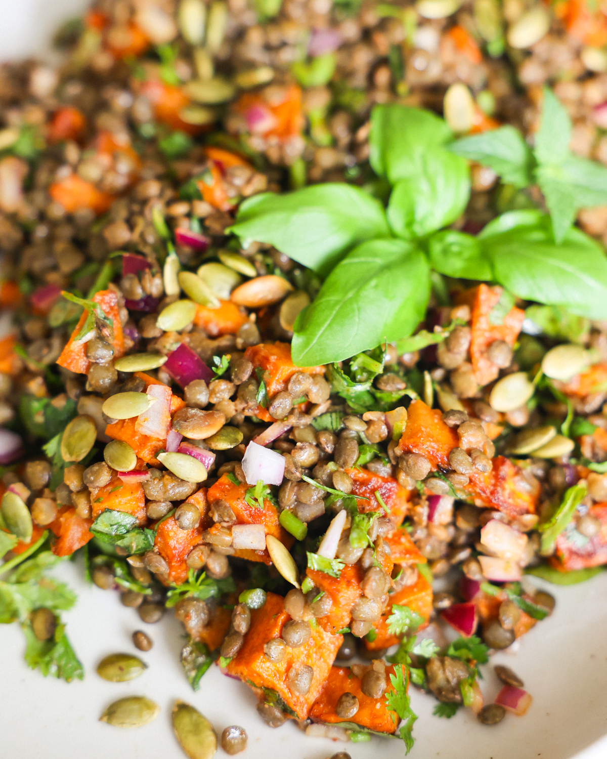 close up of lentil salad