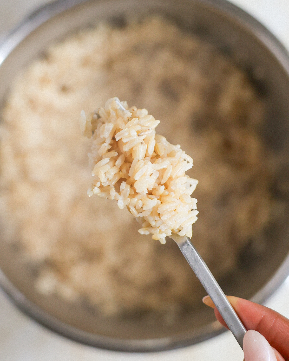 overhead of a forkful of fluffy rice