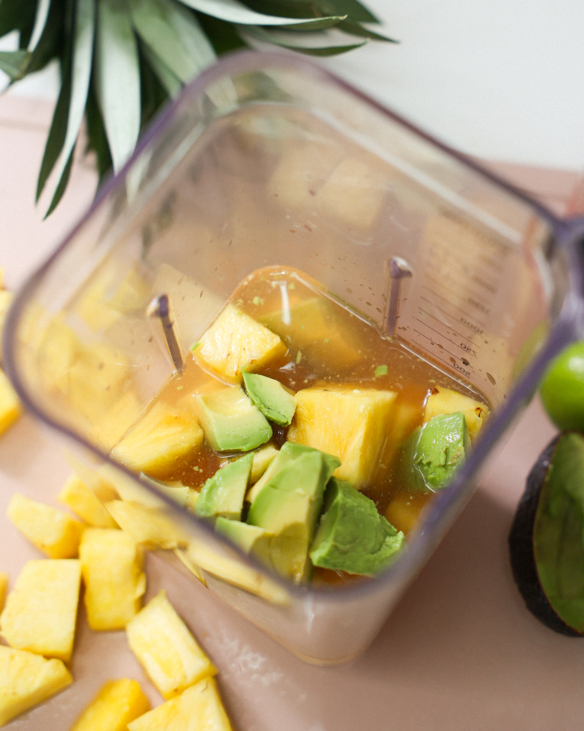 ingredients in blender