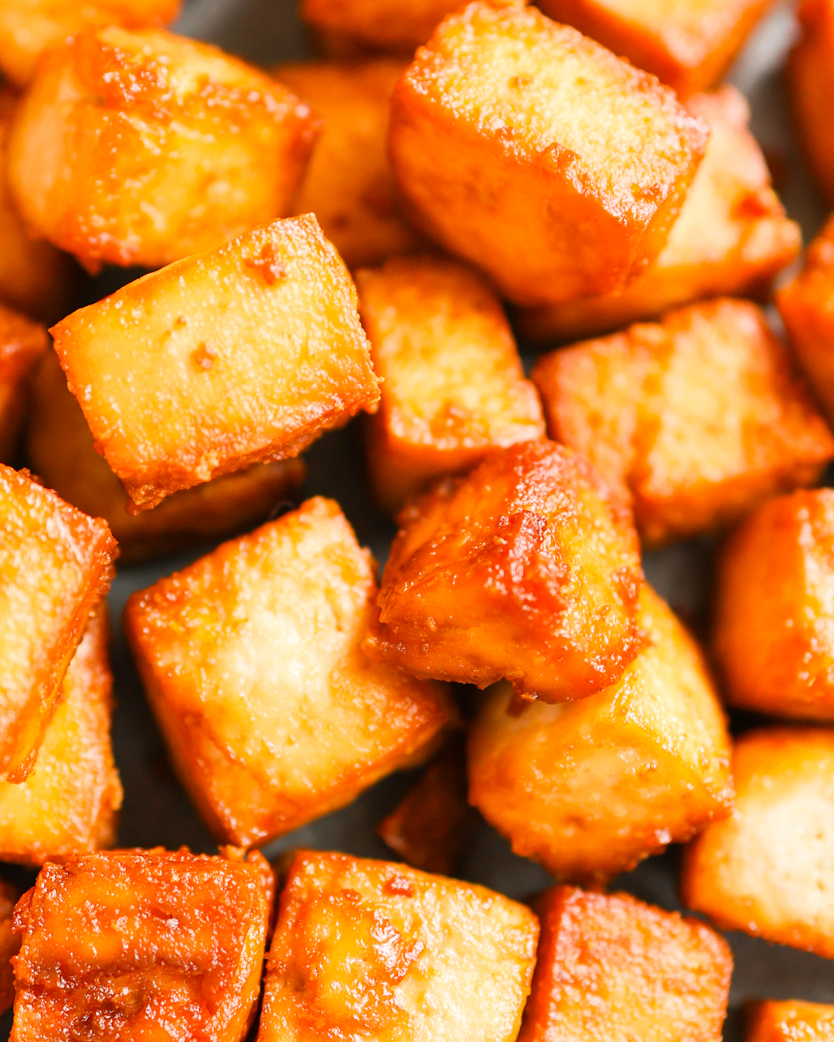 close up air fryer tofu