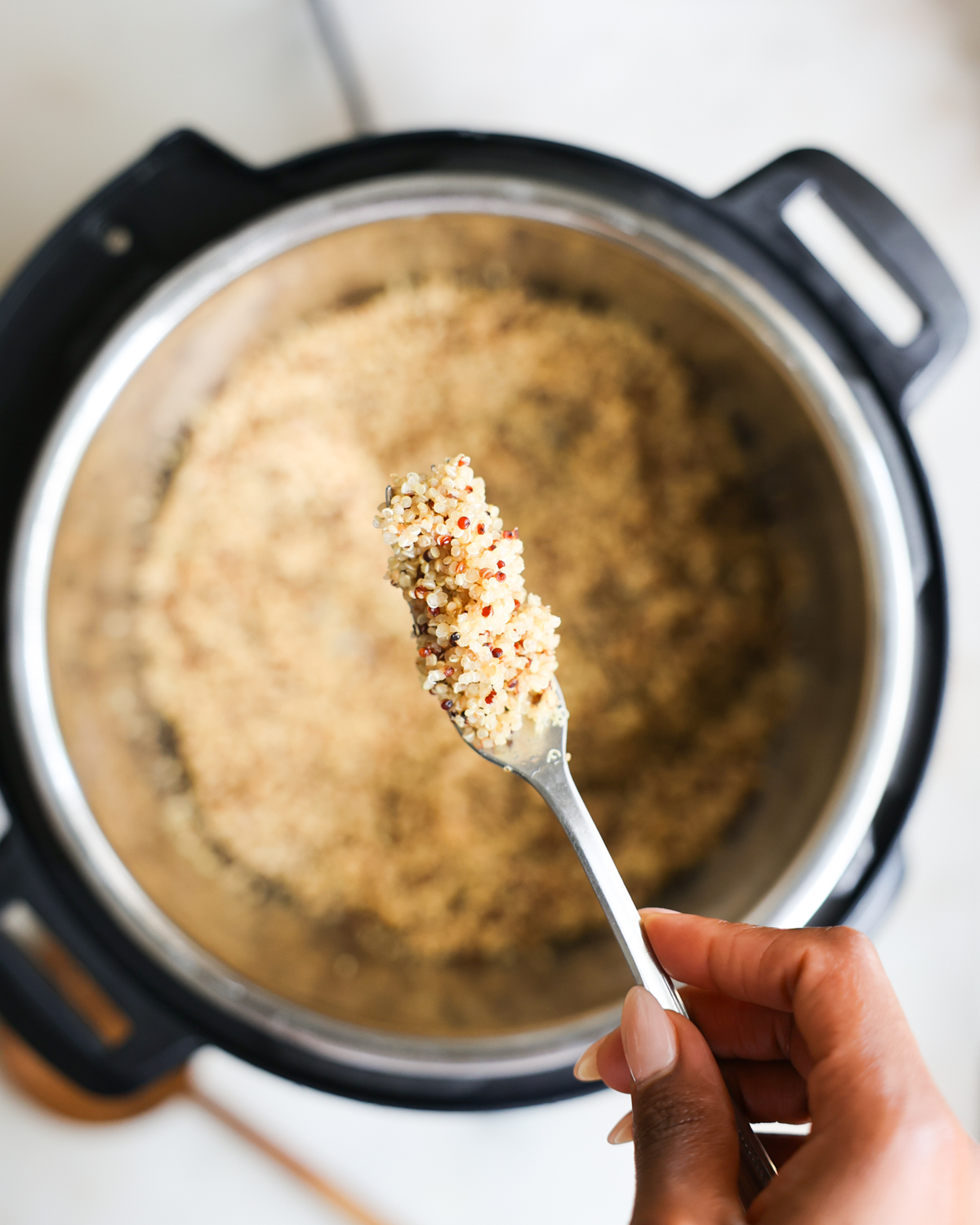 fluffed quinoa on fork