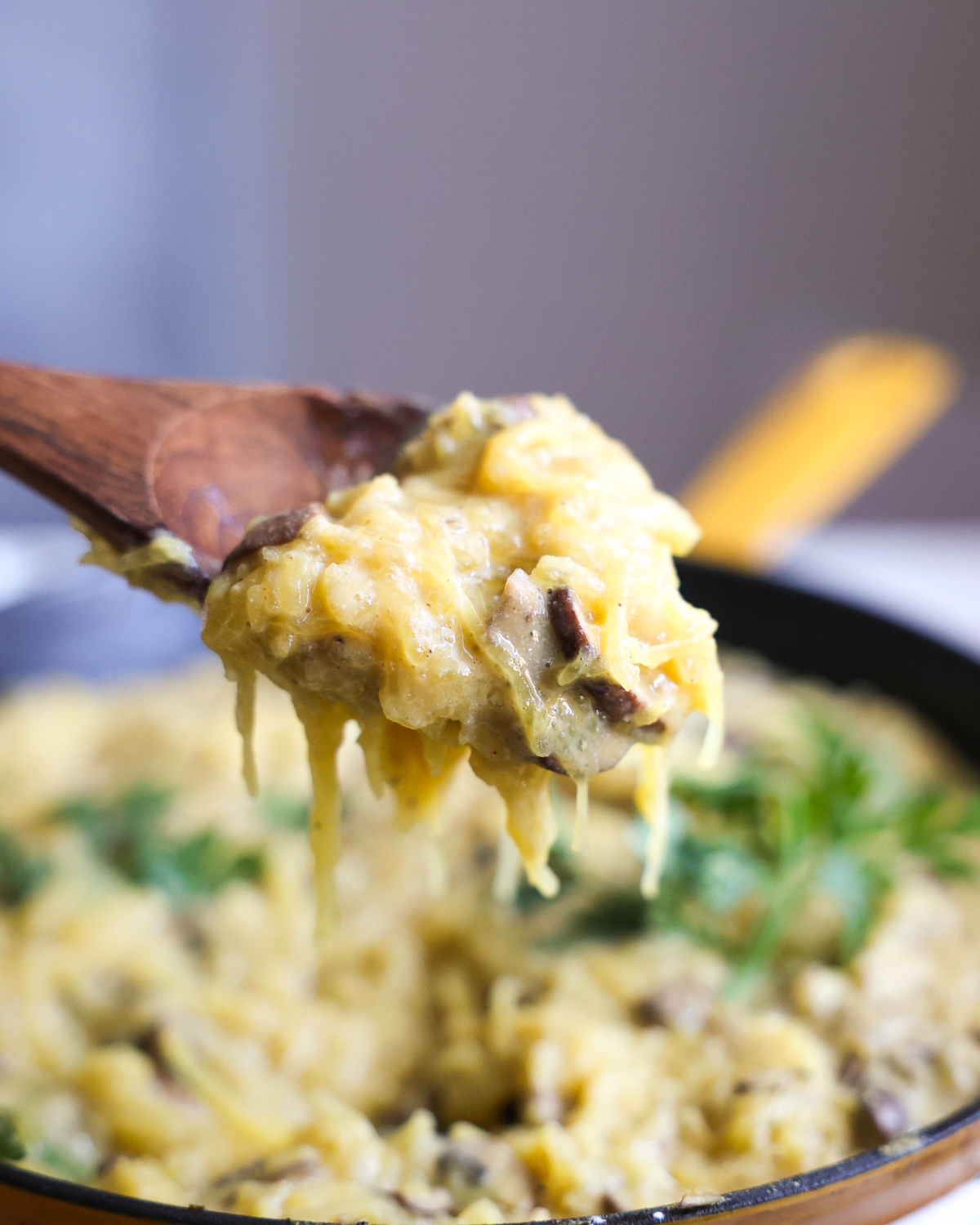 scoop of alfredo spaghetti squash