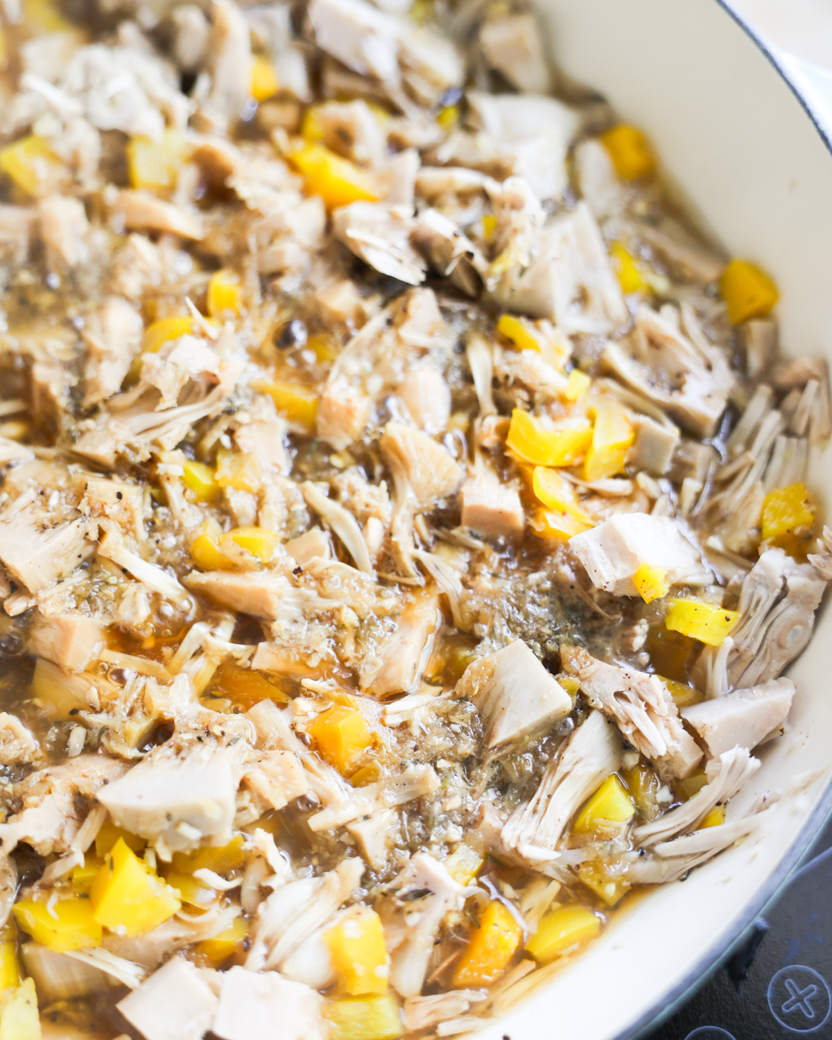 closeup jerk jackfruit