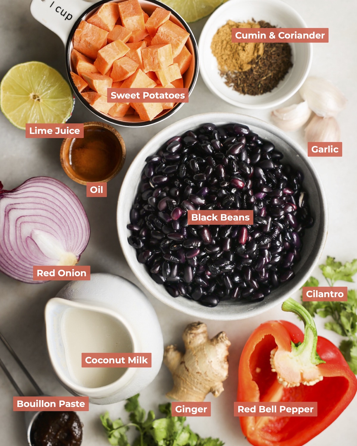 Labeled black bean soup ingredients.